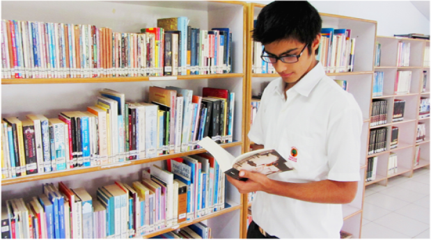 library-in-school